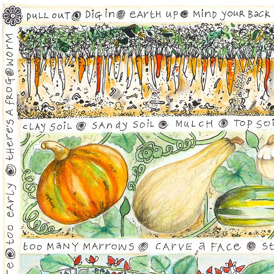 Veg Patch II   A limited edition print from Fiona Willis Artwork  (c) 2017