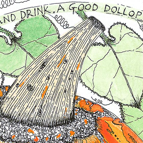 The Pumpkin, a print by Fiona Willis
