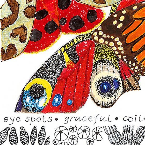 Butterflies, a print by Fiona Willis