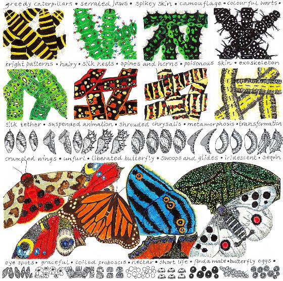 Butterflies, a print by Fiona Willis