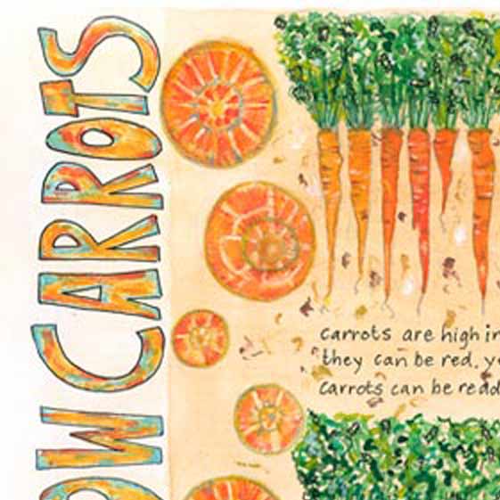 How to grow carrots