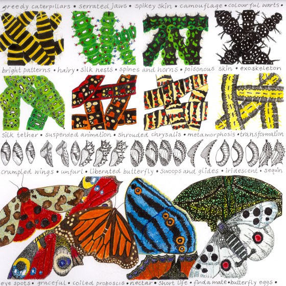 Butterfiles, a card by Fiona Willis