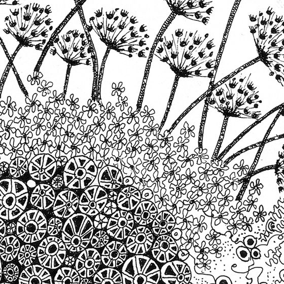 Black & White, a print by Fiona Willis