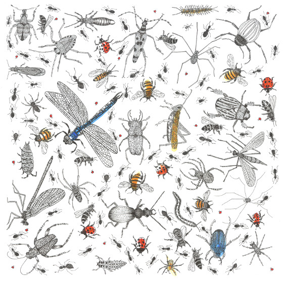 Insects tea towel  (c) Fiona Willis