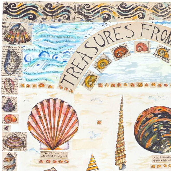 Treasures from the sea. (c) Fiona Willis
