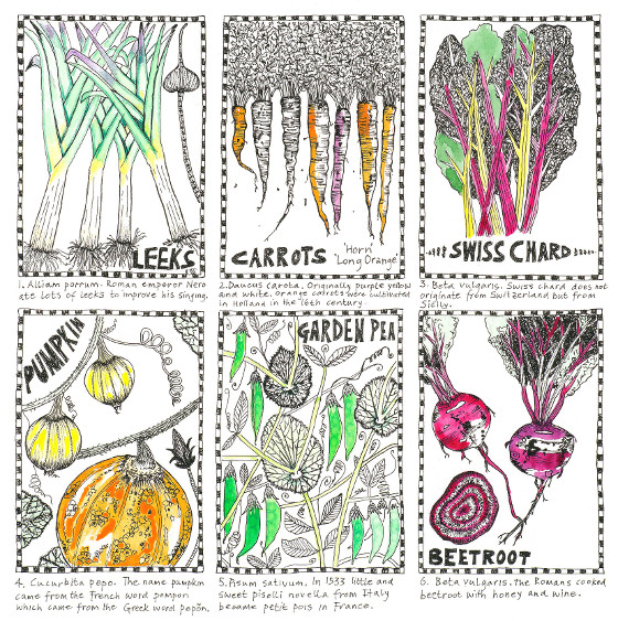 Vegetable Histories, a print by Fiona Willis (c) Fiona Willis 2015